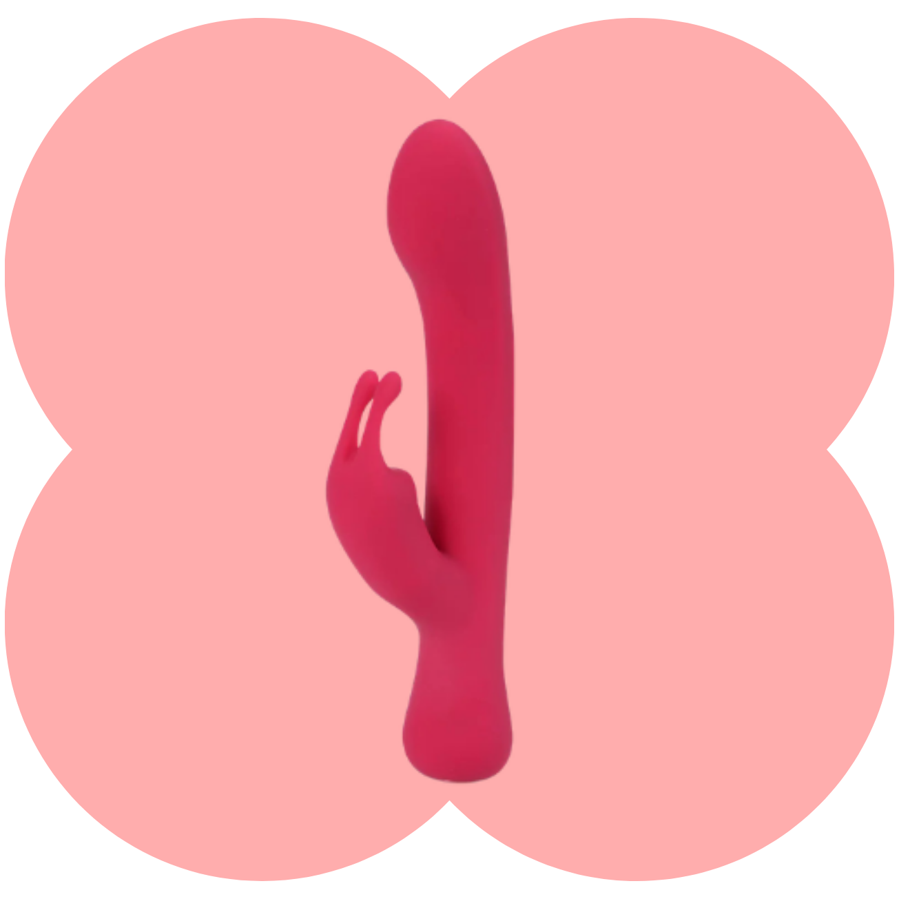 Zara Rabbit Vibrator by Maia - 10 Function Rechargeable Rabbit Vibe (Jaguar Power)